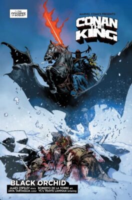 Conan the Barbarian #25, preview 4