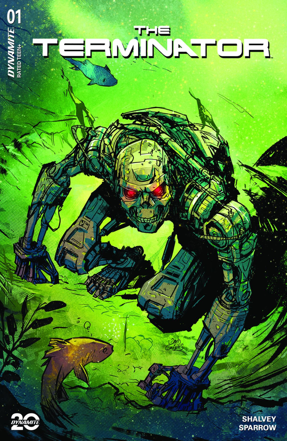 The Terminator #1 cover D