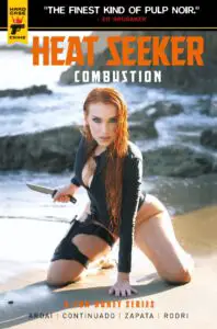 Heat Seeker: Combustion #1 cover D