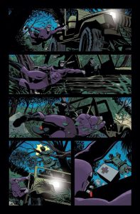 The Phantom 3 preview 2