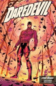 Daredevil 7 cover C