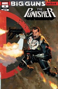 Punisher 8 cover D